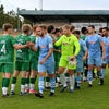 Handshake